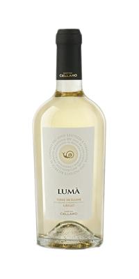 LUMA' GRILLO 2023 CELLARO BOTTIGLIA