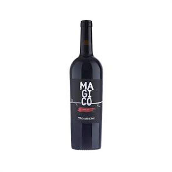 Magico Merlot bottiglia