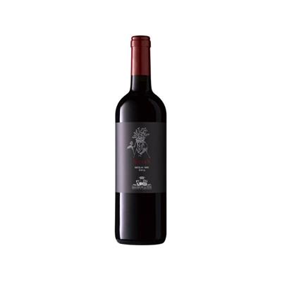 Sallier De La Tour Syrah bottiglia